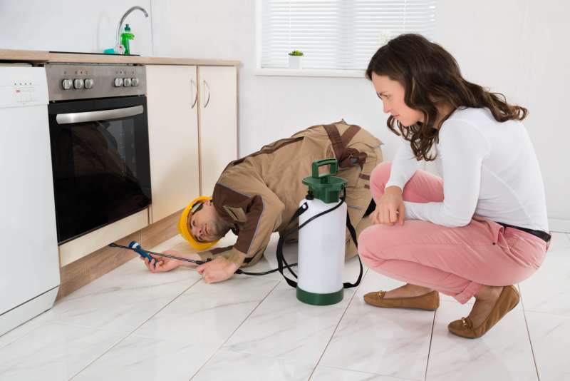 Smart Pest Monitoring Systems